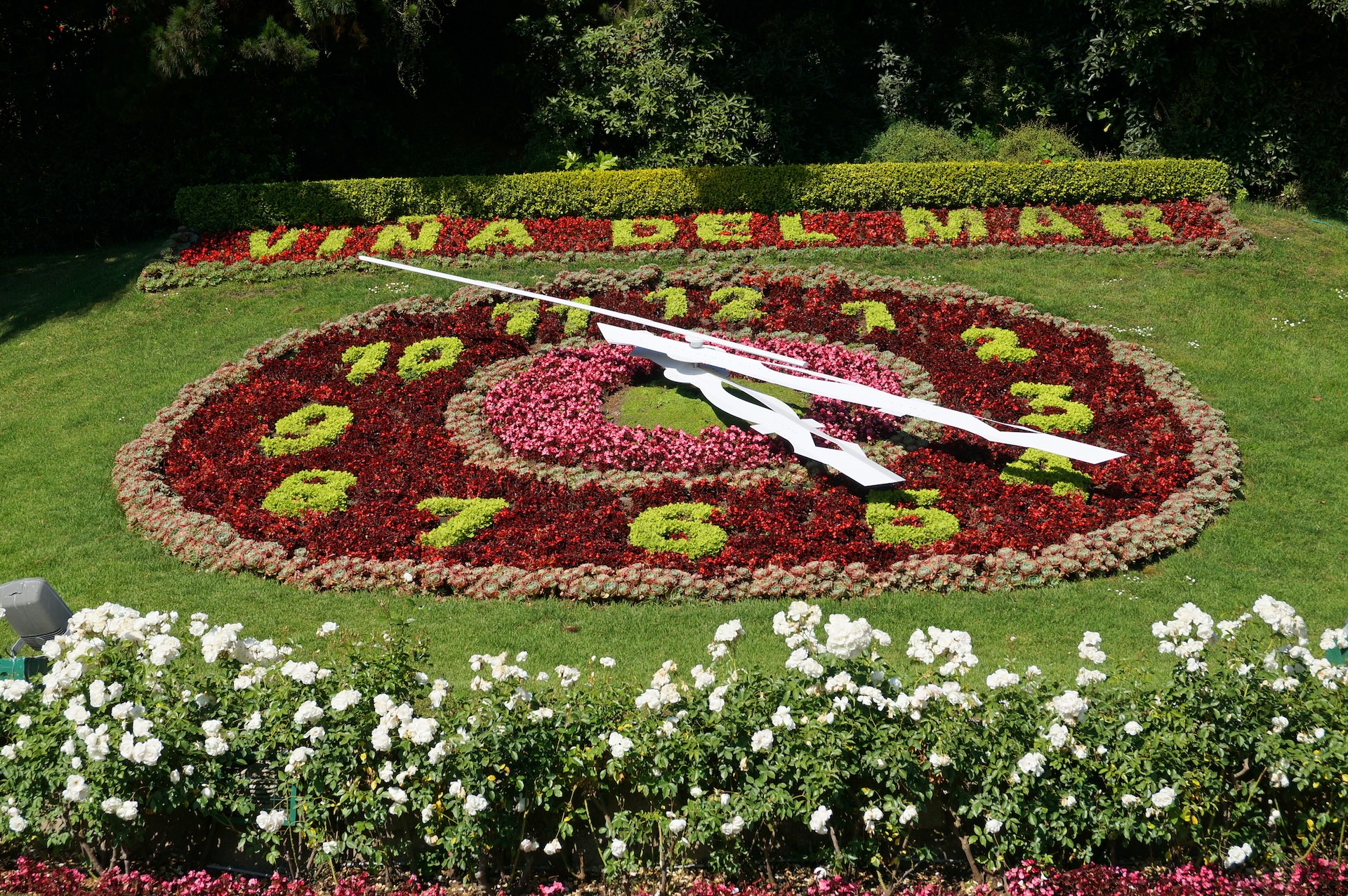 picture of a clock made out of flowers in a garden in Chile