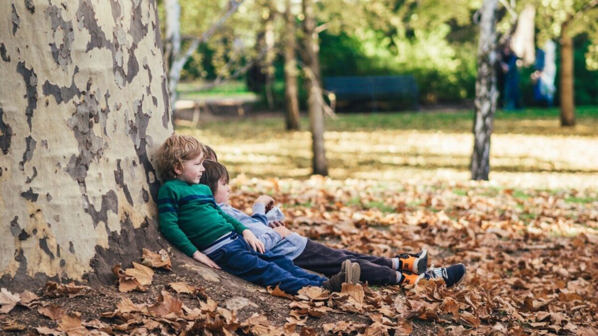 boys sitting against a tree in a park